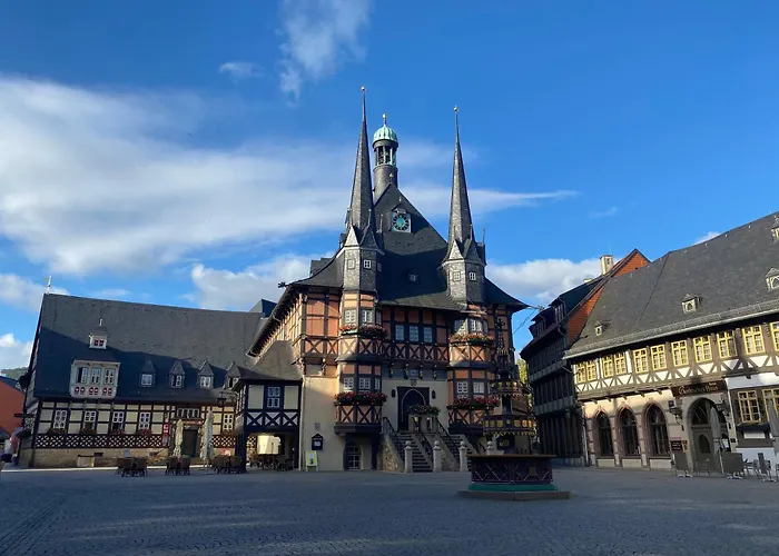 Harzträume 3 - Für Familie&freunde Mit Wlan, Parkplatz&sitzplatz Im Grünen I Busanbindung&self Check-in Apartamento